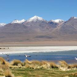 Laguna Cañapa