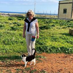 Katzenbegleitung beim Morgenspaziergang 😻