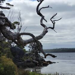 Wilson's inlet