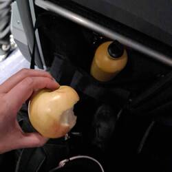 Mit dem Apfel hab ich es allen gezeigt