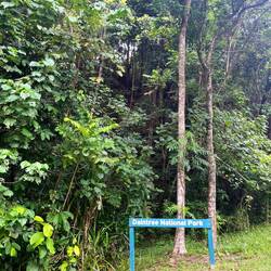Bye bye Daintree 🌳☔️