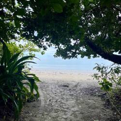 Der Weg zum Cape Tribe 😍