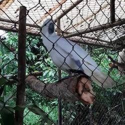 Das allmorgentliche Begrüßungsritual