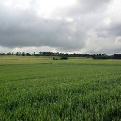 Dunkle Wolken in allerlei Grau saugen Wasser
