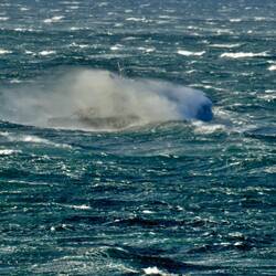 Flup, weg ist das Lotsenboot.