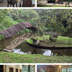 Our amazing river house