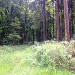 auf dem Eggeweg unterwegs