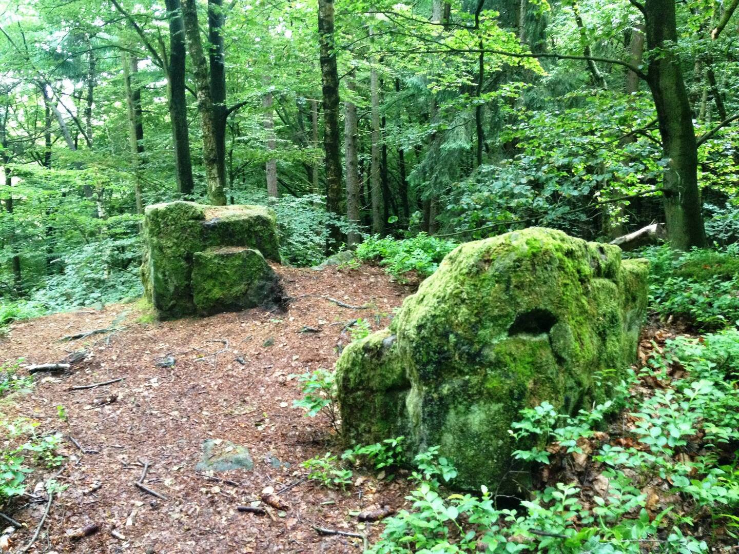 Allerlei Mystisches auf dem Eggeweg