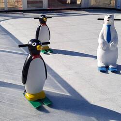 Wir haben die Pinguine gefunden 😊...sie waren in Alcobaça