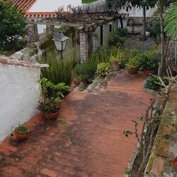 Tolle Innenhöfe und -gärten