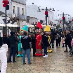 Trullimännchen/- und weibchen