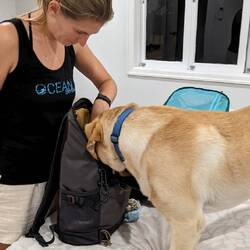 "Da pass ich doch mit rein!"