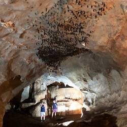 Laplae caves are awesome. The stalagmites look more like bones and there are tons of bats!