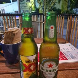 Dos Equis Mexican beer