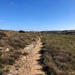 Unser Führhund 😆