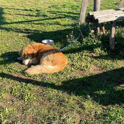Herr Schröder geniesst die Sonne im Park der Felskirchen Matera