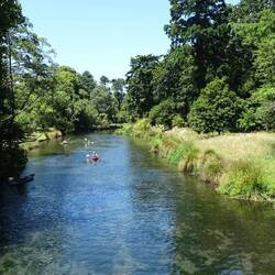 Im Botanischen Garten