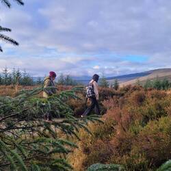 Wanderung in den Wicklower Bergen