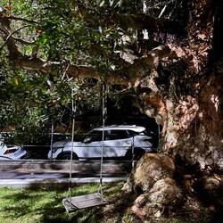 Schaukel aufm Spaziergang