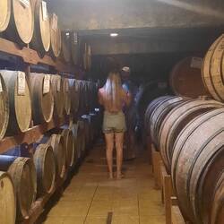 Cachaça Brauerei mit Cachaça tasting😍