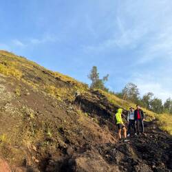 Hier sieht man die Wege mal im Hellen