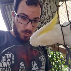 Ein schwerer Abschied