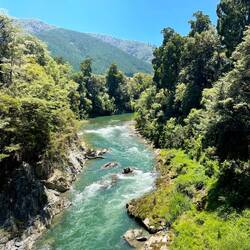 Pelorus River