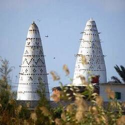 Pigeon houses