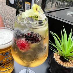 New favourite cocktail - the Hugo