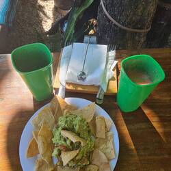 Endlich wieder frischer Saft. Ich glaube nach Mexiko bin ich eine Avocado