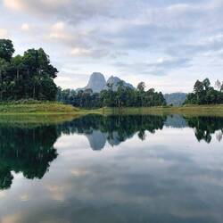 Auf Safari in den Morgenstunden