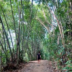 Im Khao Sok Nationalpark