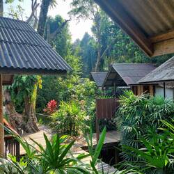 Unsere gemütliche Bungalow Anlage im Khao Sok Dorf