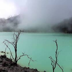 Der "weiße Krater", Kawah Putih