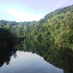 morgentliche Spiegelbilder in der Lahn