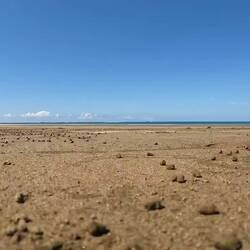 Krabben gab es hier ohne Ende, allerdings sehr scheu