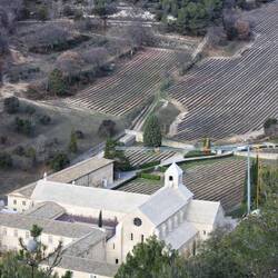 Abbaye de Sénanque