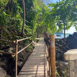 Monkey trail