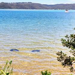 Wieder zurück bei Joes