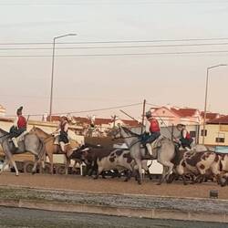 Die Kreisverkehre erzählen Geschichten