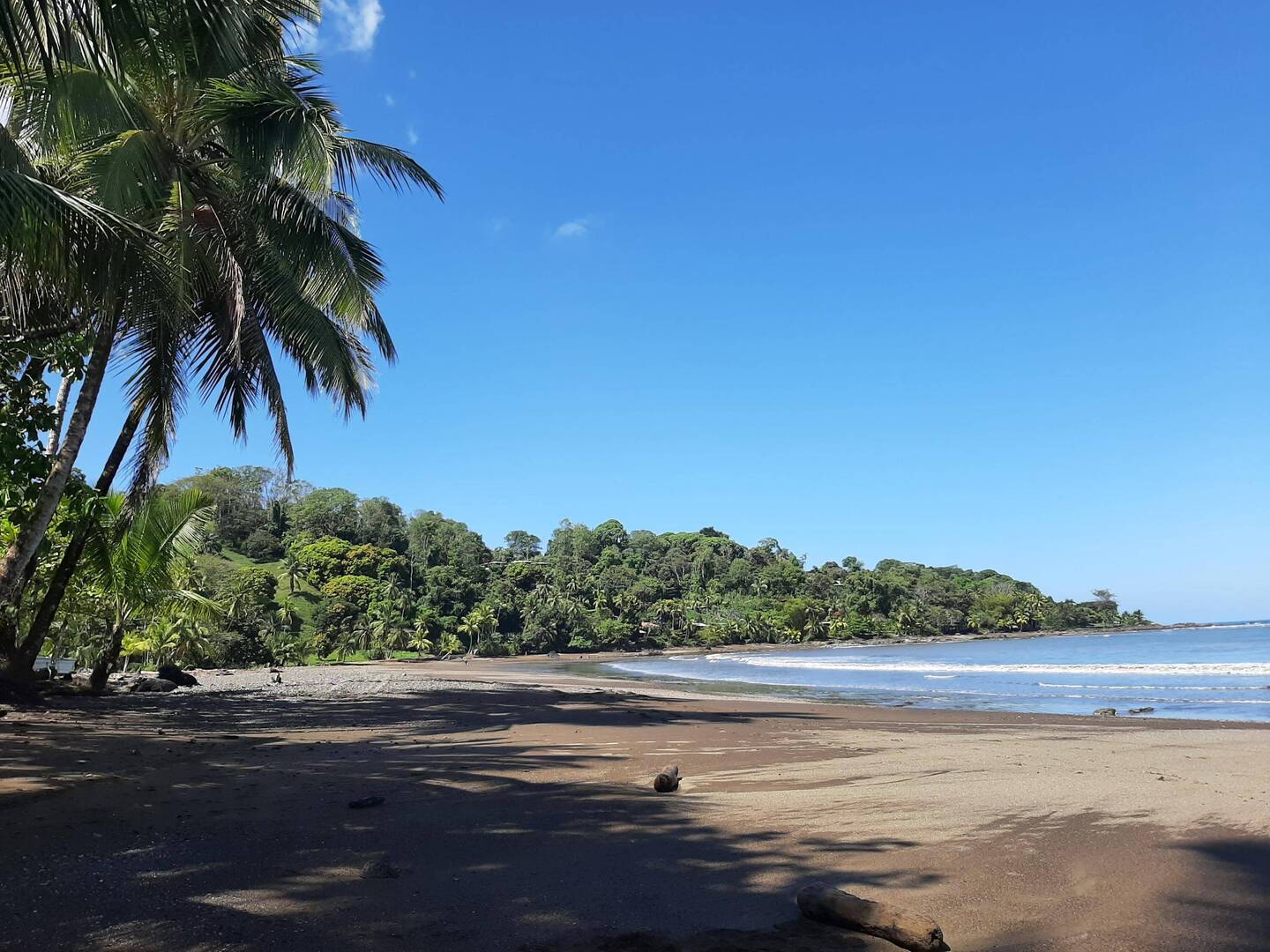 Tudo sobre as Sirenas 😊🤙