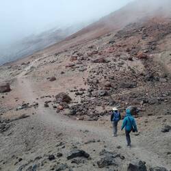 Nebelige Gerölllandschaft