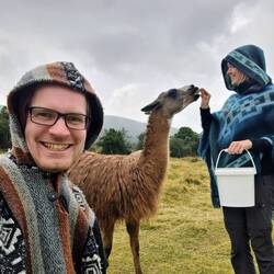 Abschied von unseren Lama-Freunden 🦙