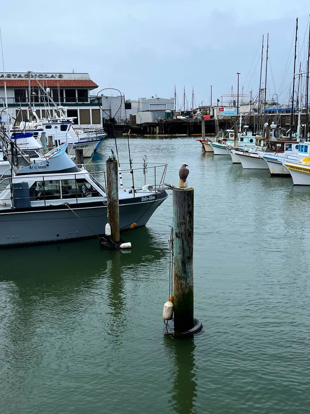 Fisherman's Wharf