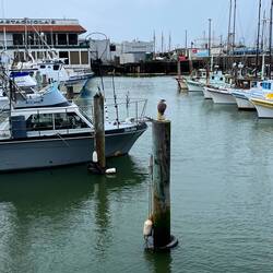 Fisherman's Wharf