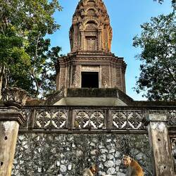 Un temple du Phnom Sampeau, bien gardé par les singes!