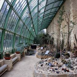 Jardin des Plantes