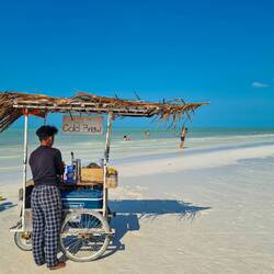 Job mit der besten Aussicht