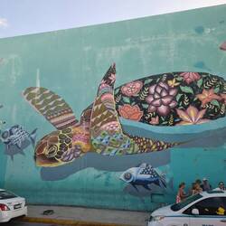 Bus Zwischenstop in Playa