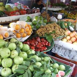 Vorne: Guaven, das Rote: Rosenäpfel, länglich gelb + grün: Papayas, kleine gelbe Kugeln: Longans